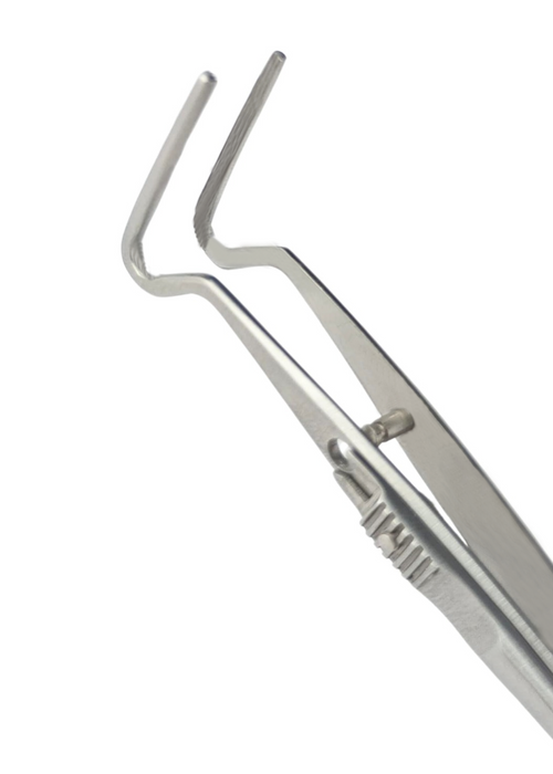 Berke Ptosis Forceps 104mm