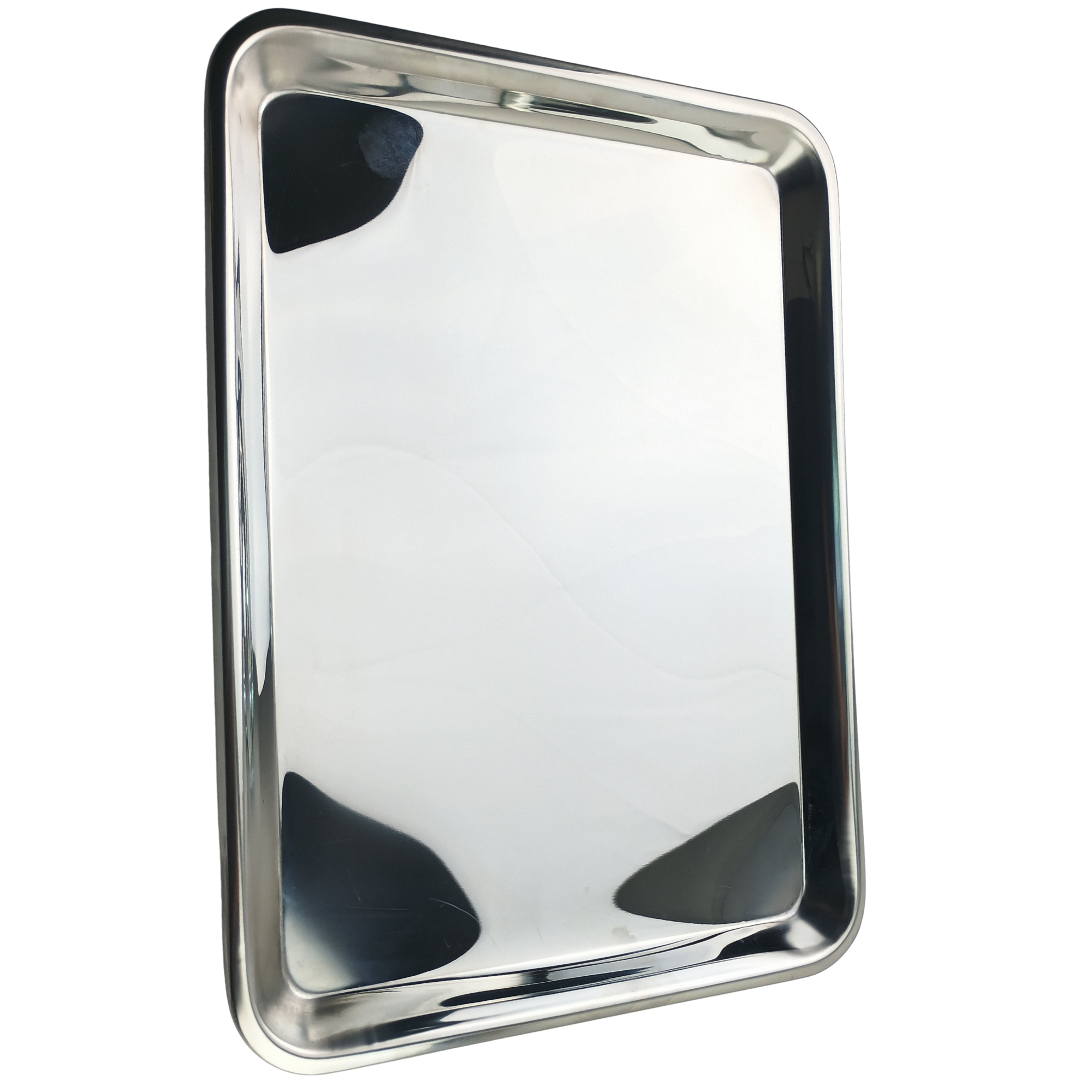 Medical Stainless Steel Shallow Instrument Tray 15 x 10 inch